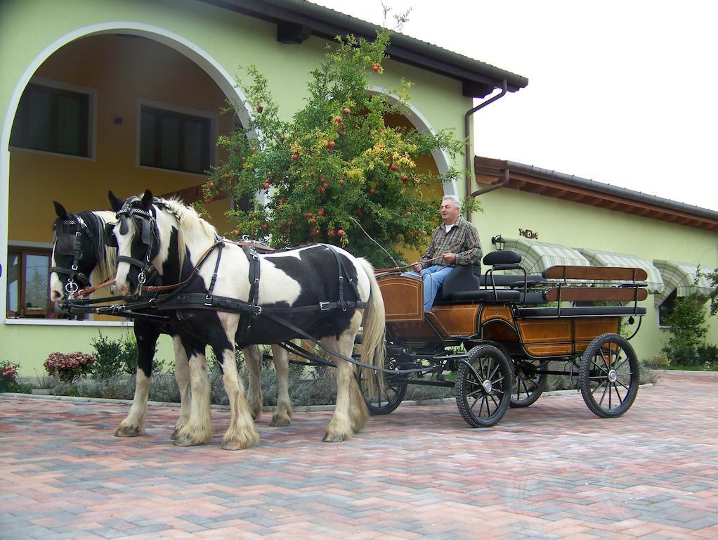 Agriturismo Nonna Rina 산리베라엘 외부 사진