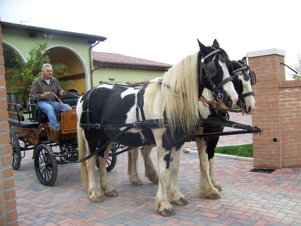 Agriturismo Nonna Rina 산리베라엘 외부 사진